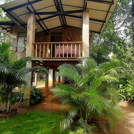 Ruk Sewana Villa Tree House Sigiriya Exterior photo